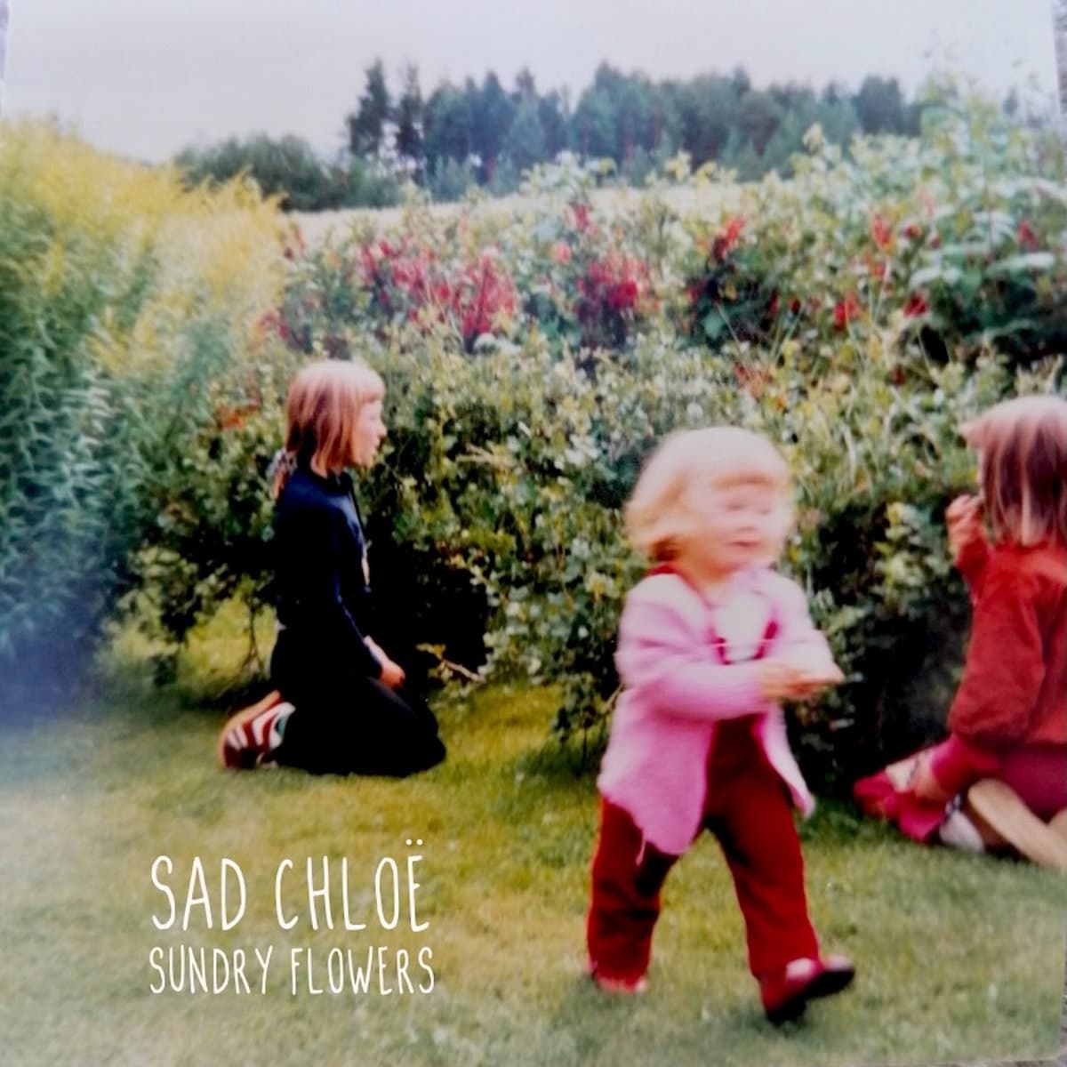 Sundry Flowers cover